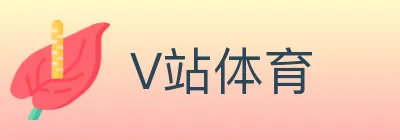 V站体育 logo